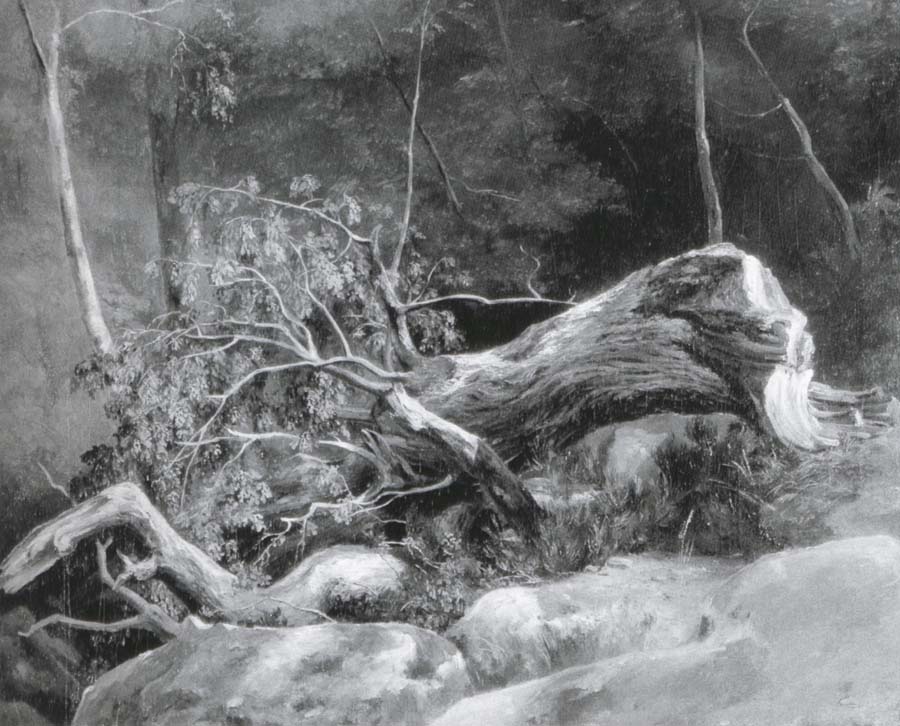 Achille-Etna Michallon The Fallen Branch,Fontainebleau